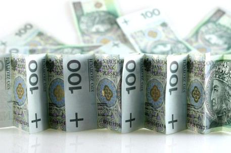 image from business series: polish money