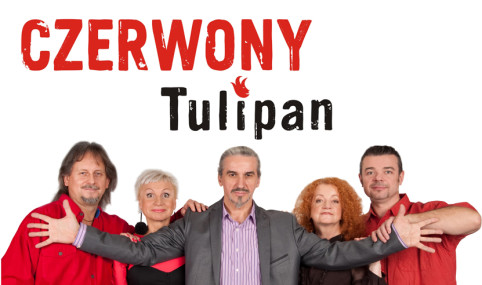 czerwony tulipan poziom twoje oczy