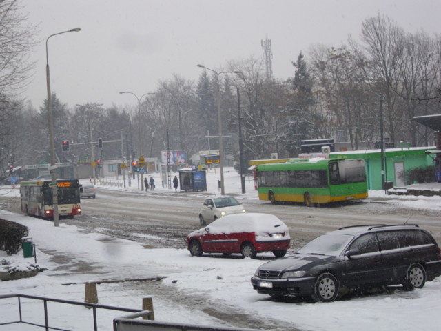 zima 2015 - Poznań Ogrody