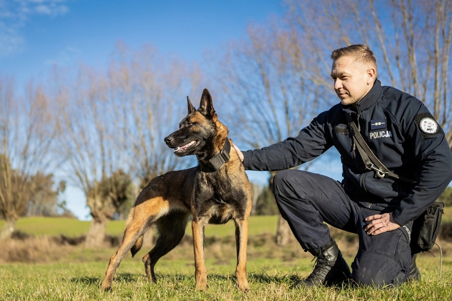 Frajda - nowy pies poznańskiej policji