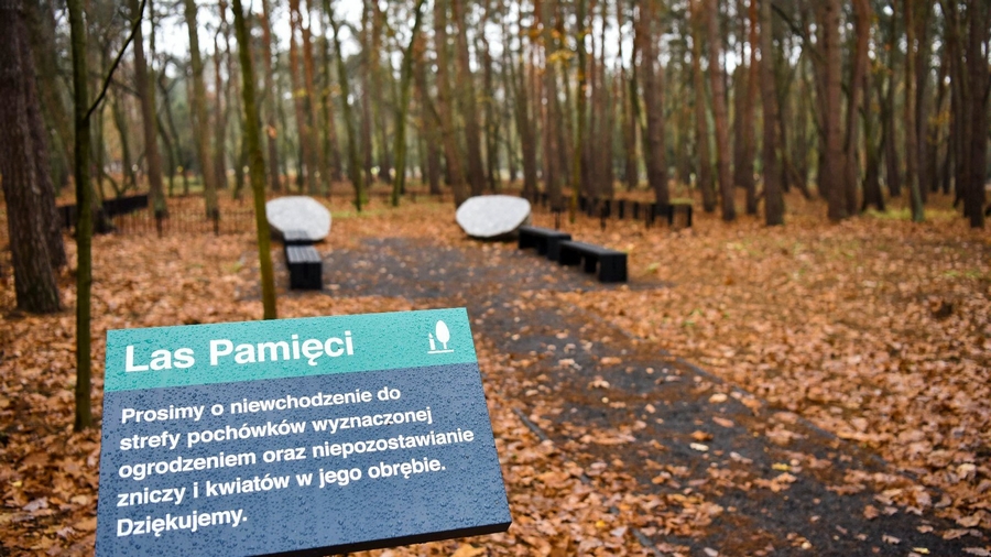 Las Pamięci w Poznaniu