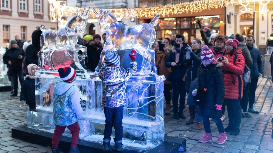 Poznań Ice Festival