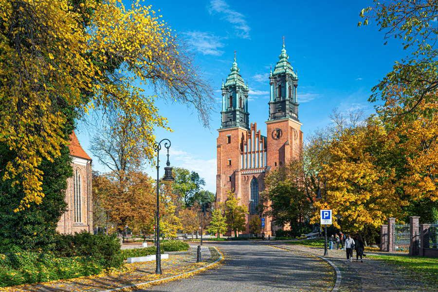 katedra poznańska